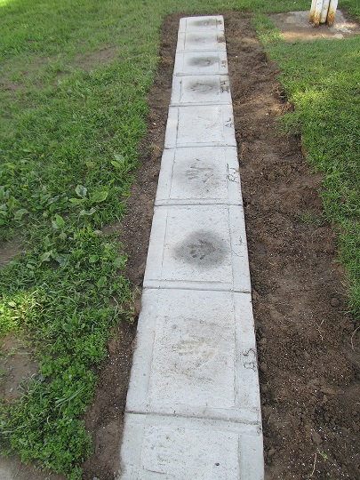 #20 McAdam Avenue School